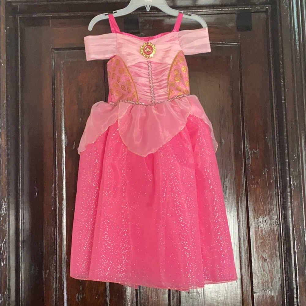 NWT Princess Aurora Dress/costume